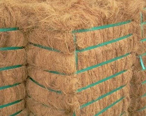 Coir-Fibre-front