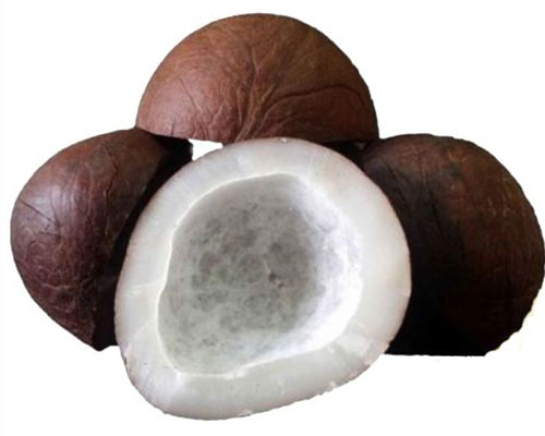 dried-coconut-ball-copra-front