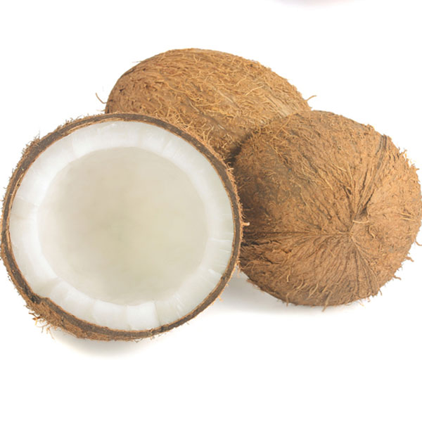 semi-husked-coconut-6