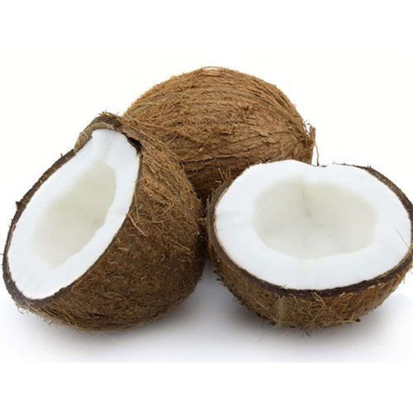 semi-husked-coconut-8